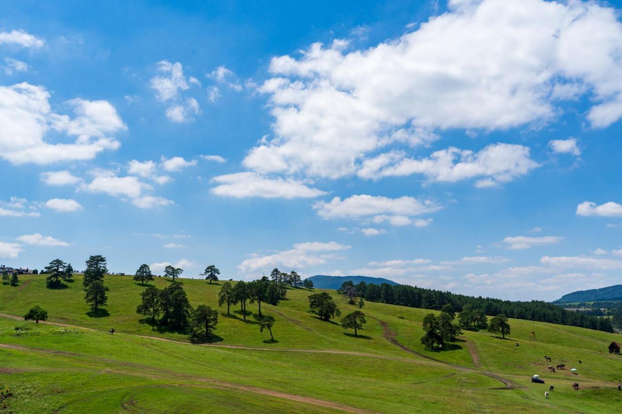 Apartament Lux Apartman Monet Zlatibor Zewnętrze zdjęcie